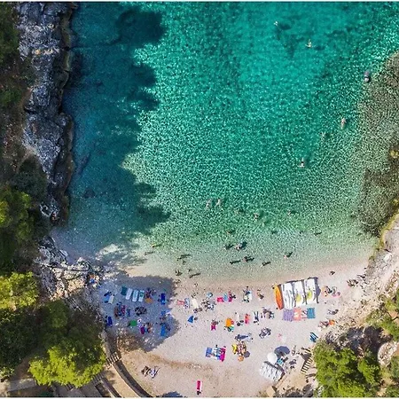Olivia-mar, 100m Beach *